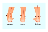 Understanding the Importance of Pronation